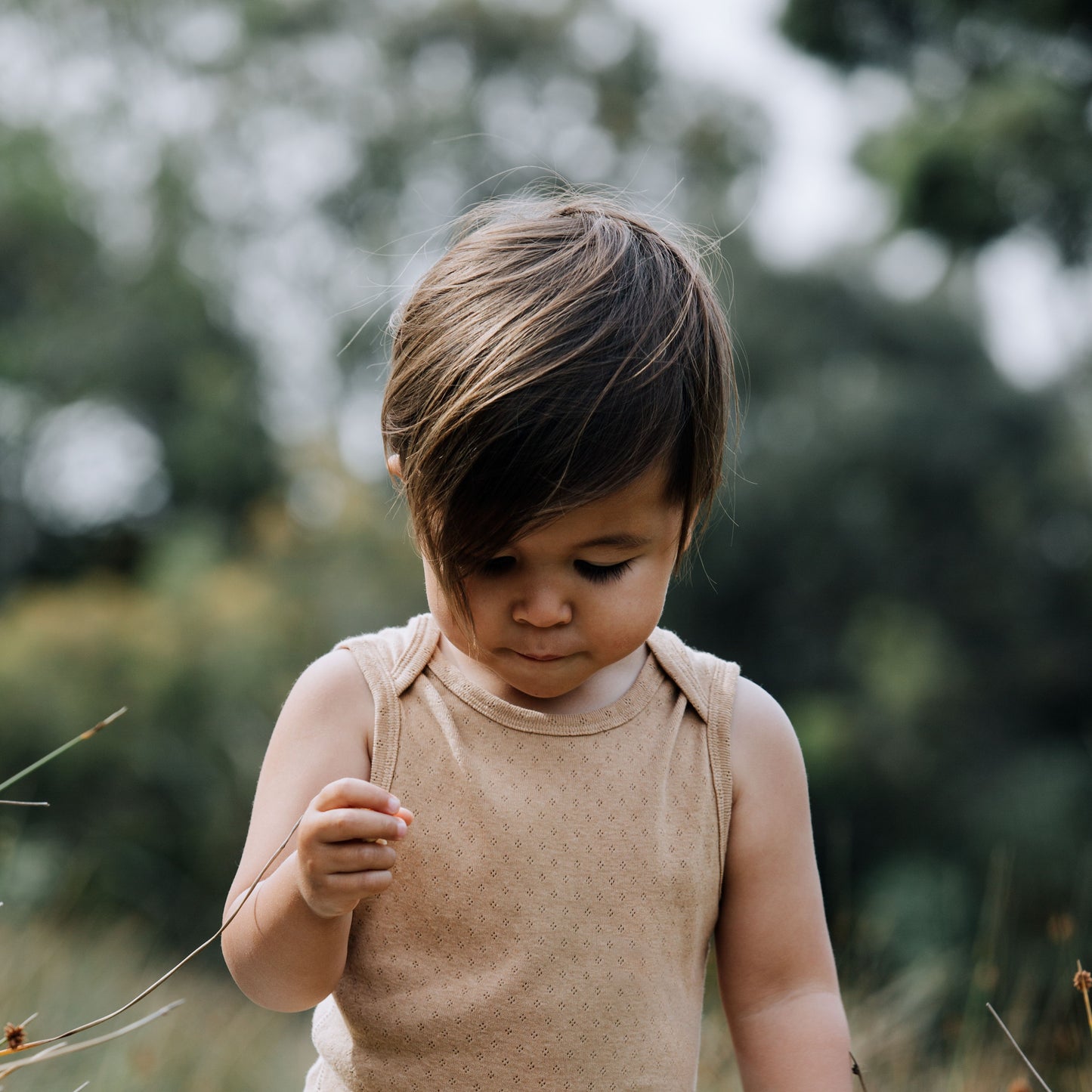 THE BUB BOHX